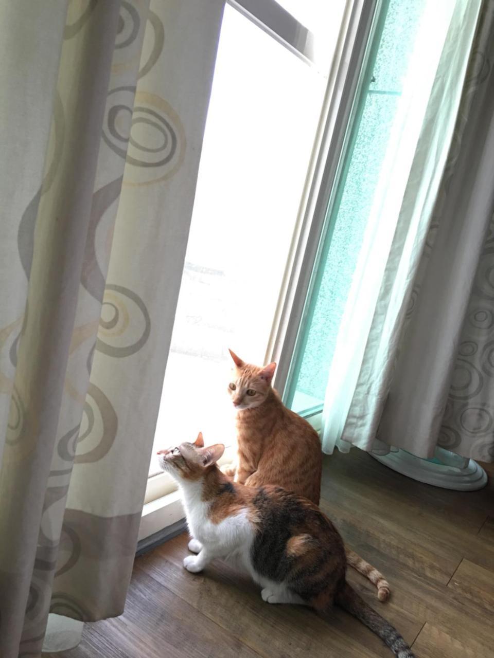 Beauty Home Homestay Hualien Eksteriør billede